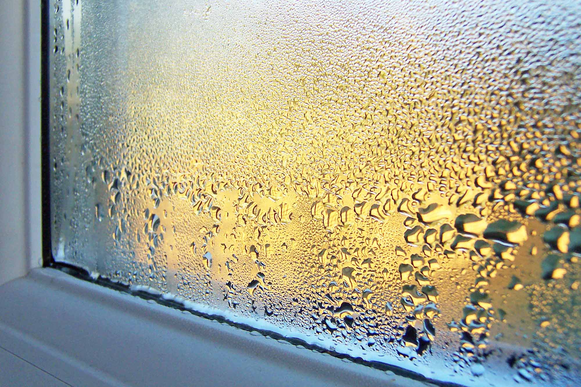 Kondenswasser läuft an der Innenseite einer Fensterscheibe herunter